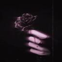 Death・Rose 🥀|™OFFICIAL icon