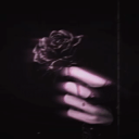 Death・Rose 🥀|™OFFICIAL icon