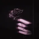Death・Rose 🥀|™OFFICIAL
