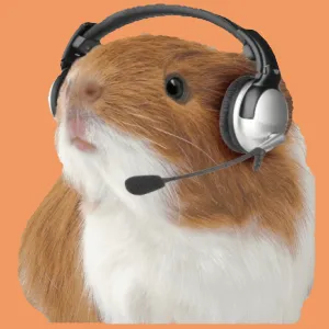 Hamster Survival — мониторинг Discord сервера, статистика и рейтинг