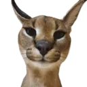 FLOPPA Discord Server Icon