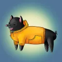 SolarPigs