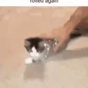 APRounds Retard Group