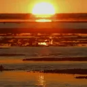 Enchanted Vale Discord Server Icon