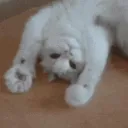<3