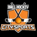 CitySports Ball Hockey's server