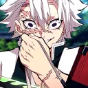 Demon Slayer | Fall of night