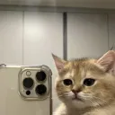 Minecraft Experience's icon