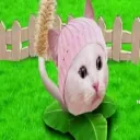 Lefcito