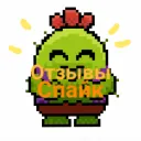 CACTUS REVIEWS