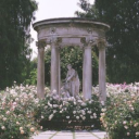 ⁑✷ 𝐂𝐚𝐦𝐩 𝐇𝐚𝐥𝐟-𝐁𝐥𝐨𝐨𝐝 𝙬𝙞𝙩𝙝 𝙖𝙘𝙘𝙪𝙧𝙖𝙘𝙮 ✷⁑ Discord server icon