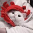 𝙷𝚊𝚌𝚎𝚛 𝚊𝚖𝚒𝚐𝚘𝚜<𝟹