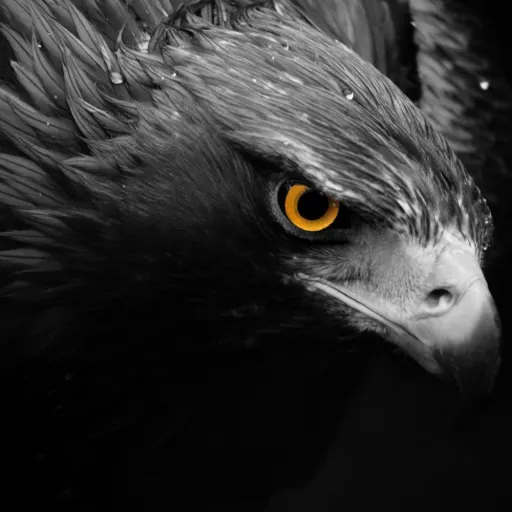 💰Falco - Bets & Casinò💰 — мониторинг Discord сервера, статистика и рейтинг