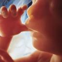 Pro-Life Hangouts
