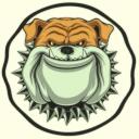 The Underdawgs