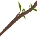 Kingdom of sticks