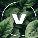 𝐕𝐢𝐫𝐭𝐮𝐞 Discord Server Icon