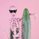Cactus Cult
