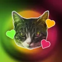 cleoemo