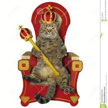 Королевтсво кошачих — мониторинг Discord сервера, статистика и рейтинг