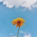 Gamers Heaven's icon