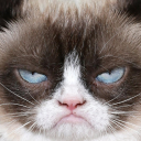Grumpy's lounge Server Icon