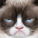 Grumpy's city