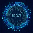 Data Analysts