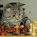 CMU Chess Club