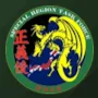 Special Region Task Force | 特地任務部隊