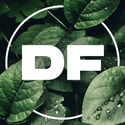🍀| Dutch FIFA. - discord server icon