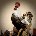 CaptainCockerels's Gaming server