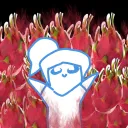 Dragonfruit Orchard