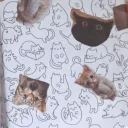 Thai English Language Exchange Discord Server Icon