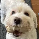 PeaceKeepers Discord Server Icon