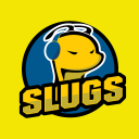 Discovery icon for Slug Gaming Discord server