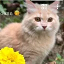 SERVER TAMBAHAN Discord server icon