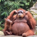 H3KO Discord server icon