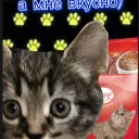 Мурка хочет айфон
