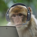 Monkey Hearts of Iron IV