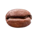 The Bean DAO