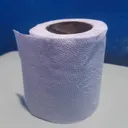 NFT toiler paper
