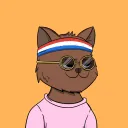 Cool Cats Society