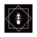 The Ant Colony
