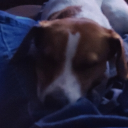 Multi Universe RP Discord server icon