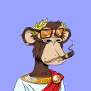 Bored Ape Next Club