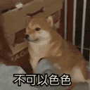 文學專題研究所