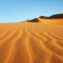Wasteland