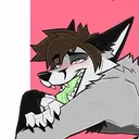 Furry fun server