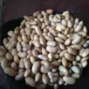 porotos 2